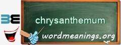 WordMeaning blackboard for chrysanthemum